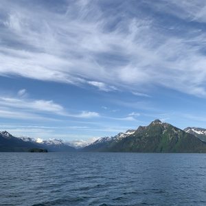 Prince William Sound